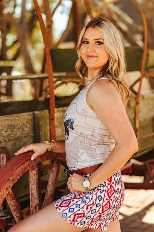 Southwestern Sass Aztec shorts